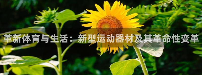 k1体育官方正版app娱乐下载