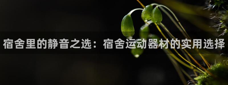 k1体育官方正版app娱乐平台：宿舍里的静音之选：宿舍运动器
