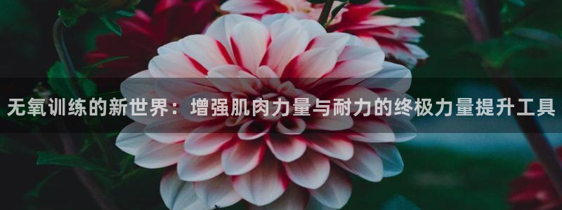 k1体育官方正版app娱乐平台