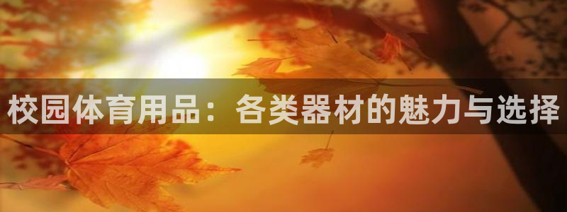 k1体育官方正版app娱乐：校园体育用品：各类器材的魅力与选