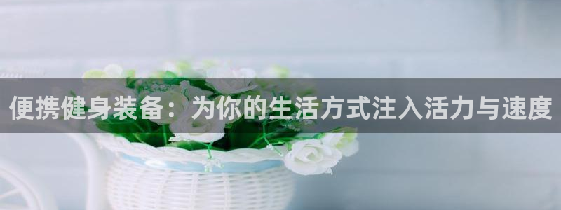 k1体育官方正版app集团E.ON：便携健身装备：为