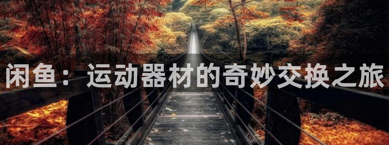 k1体育官网下载官方客服电话：闲鱼：运动器材的奇妙交换之旅