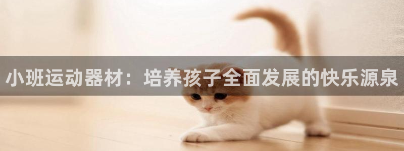 k1体育官网下载招商电话：小班运动器材：培养孩子全面发展的快