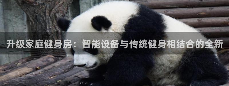 k1体育官网下载招商电话是多少：升级家庭健身房：智能设备与传