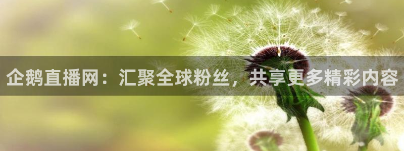 55直播吧体育nba