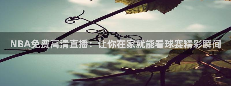 直播吧免费足球直播在线观看