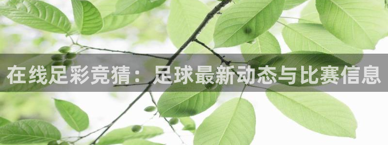 足球直播在线直播观看免费直播吧英冠：在线足彩竞猜：足球最新动态与比赛信息