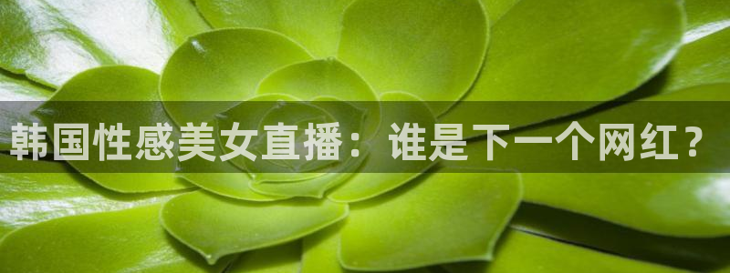 直播吧在线足球