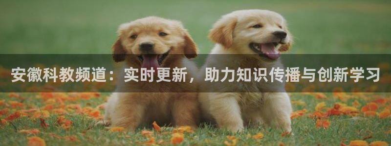 体育直播吧官网：安徽科教频道：实时更新，助力知识传播与创新学习